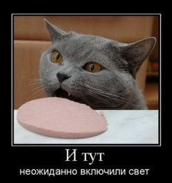 ochen-smeshnoj-demotivator-3.jpg