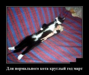 veselyj-demotivator.jpg