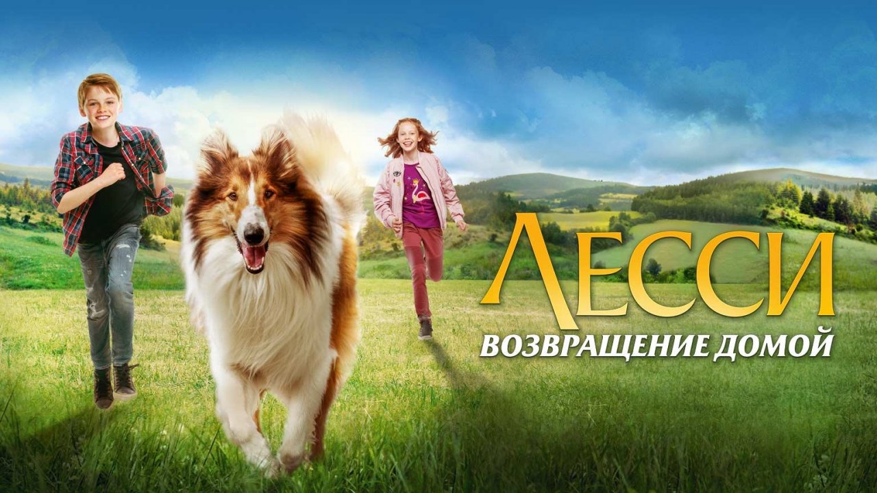 rutube.ru