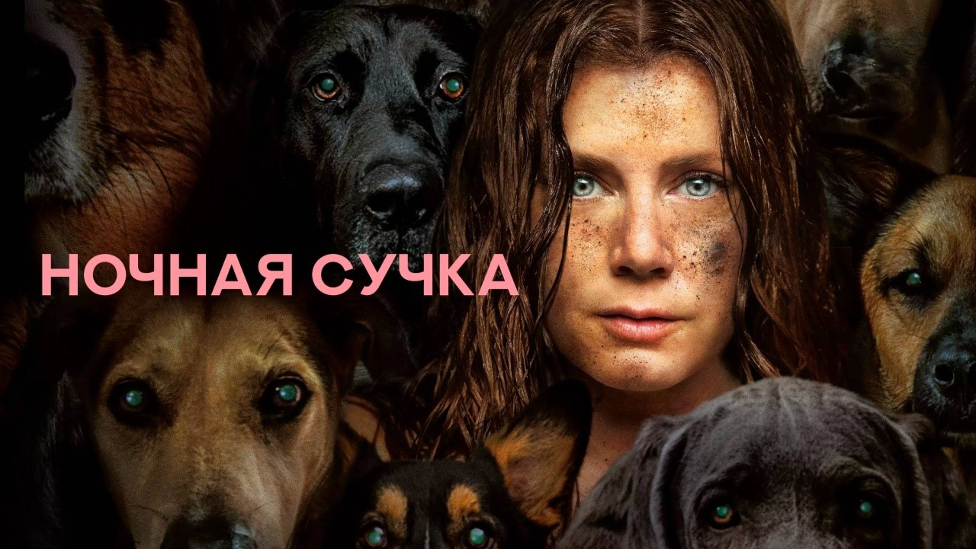 rutube.ru