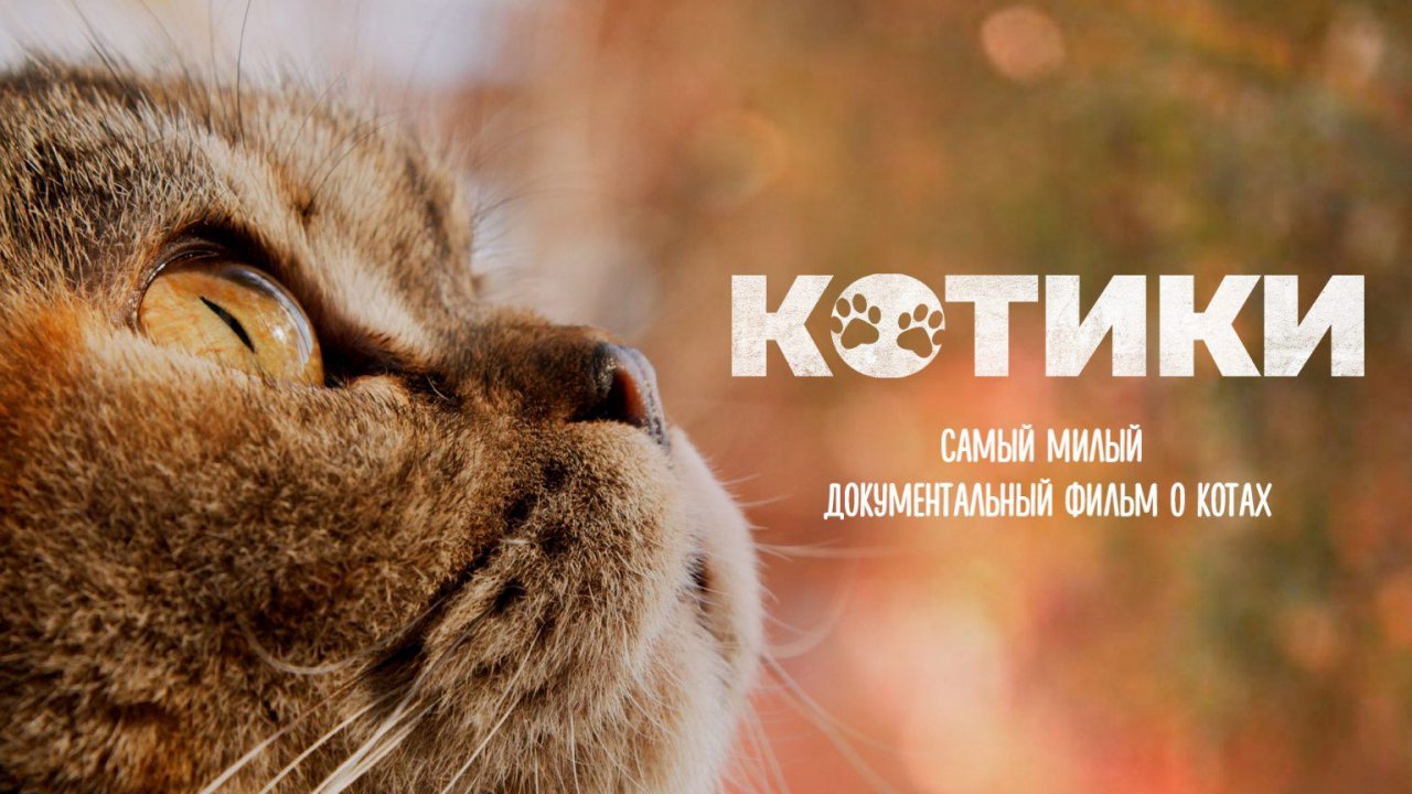rutube.ru