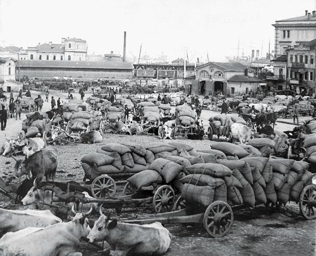Фото открытых источников.  Привезенное зерно готовят к отправке в Германию. 1916 год.